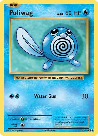 Poliwag (23) Reverse Holofoil - XY  Evolutions