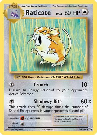 Raticate (67/108) [XY: Evolutions] | Silver Goblin