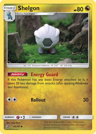 Shelgon (43) Reverse Holofoil - Dragon Majesty