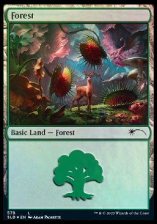 Forest (Predatory) (578) [Secret Lair Drop Promos] | Silver Goblin