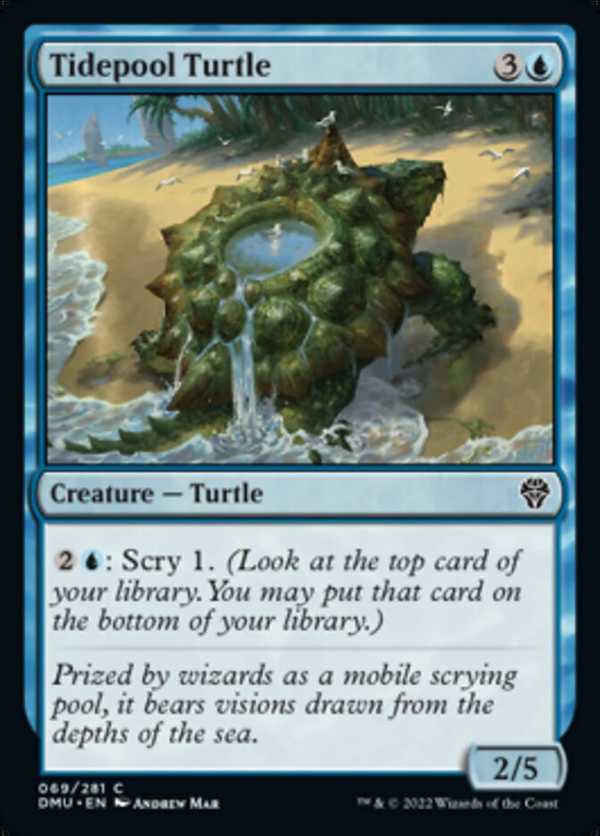 Tidepool Turtle [Dominaria United] | Silver Goblin