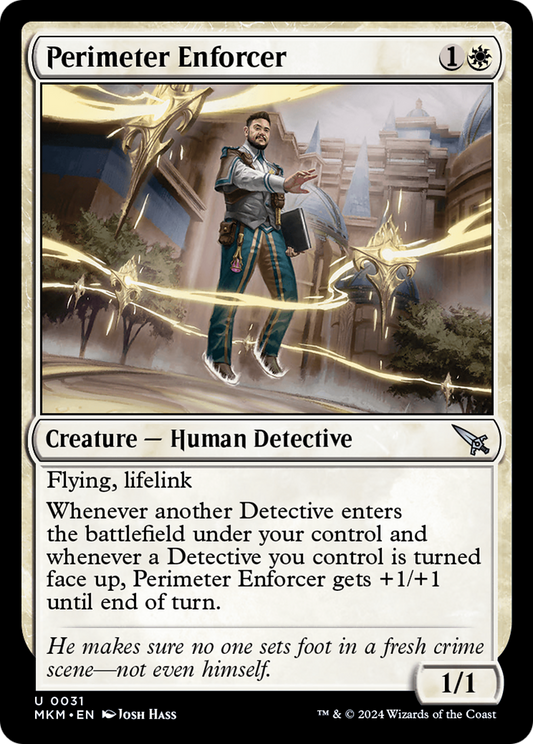 Perimeter Enforcer (031)