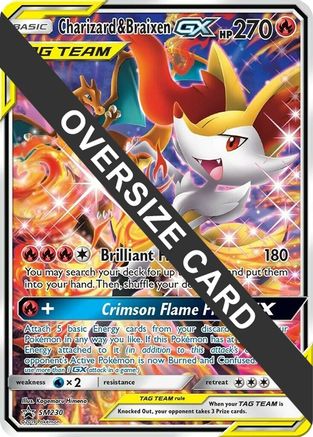 Charizard & Braixen GX (SM230) (Jumbo Card) [Sun & Moon: Black Star Promos] | Silver Goblin