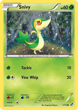 Snivy - 1/114 (Cosmos Holo) (1) Holofoil - Miscellaneous Cards & Products