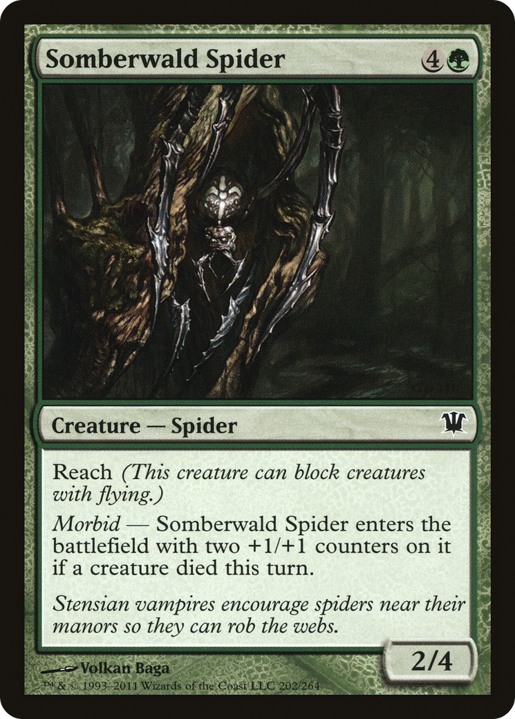 Somberwald Spider (202) Foil - Innistrad