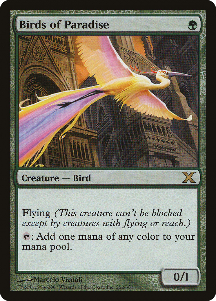 Birds of Paradise (252) - Tenth Edition