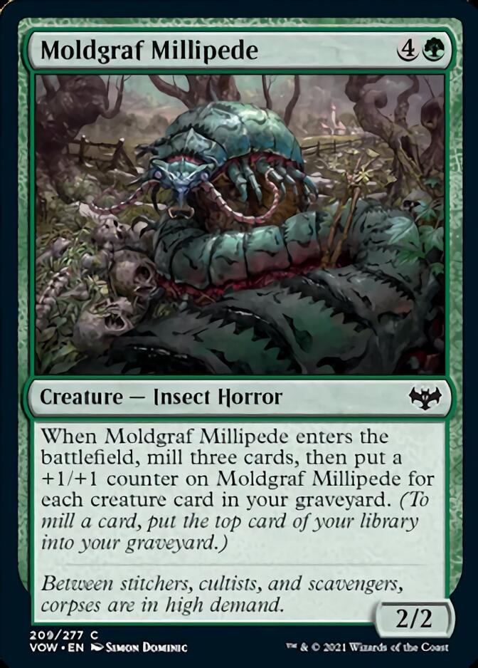 Moldgraf Millipede [Innistrad: Crimson Vow] | Silver Goblin