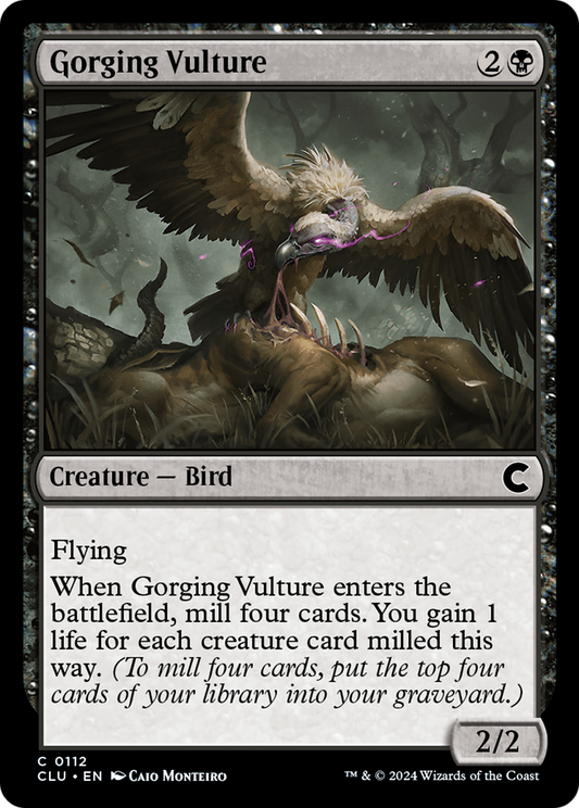 Gorging Vulture (112)