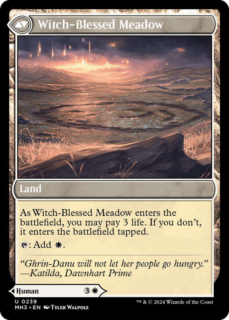 Witch Enchanter // Witch-Blessed Meadow (239)