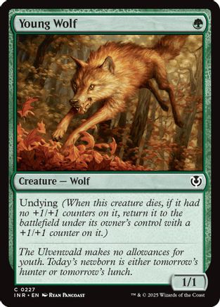 Young Wolf (227) - Innistrad Remastered