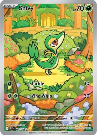 Snivy (87) Holofoil - Black Bolt