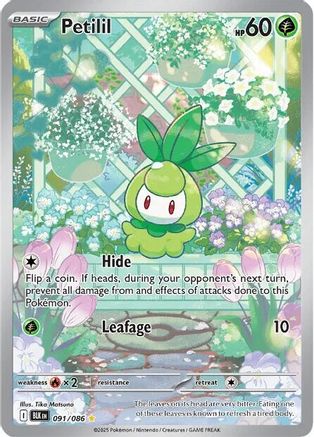 Petilil (91) Holofoil - Black Bolt