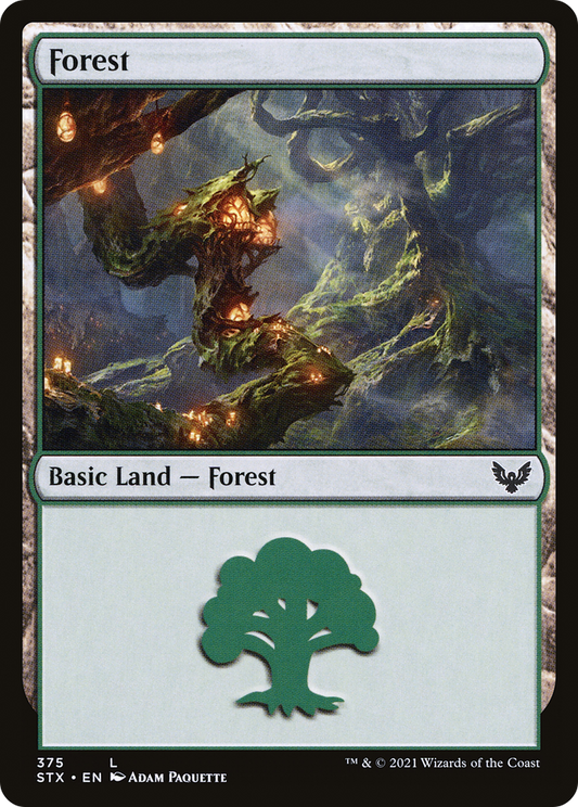 Forest (375) [Strixhaven: School of Mages]