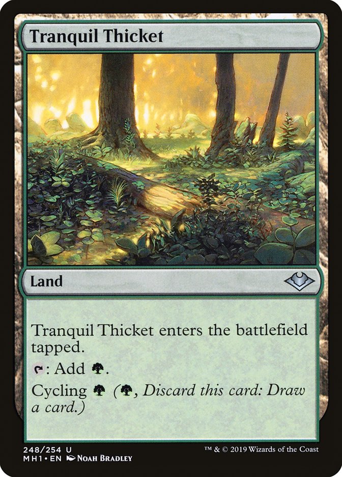 Tranquil Thicket [Modern Horizons] | Silver Goblin