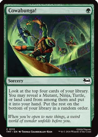 Cowabunga! (113) - Teenage Mutant Ninja Turtles