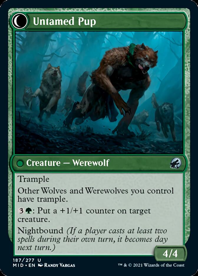 Hound Tamer // Untamed Pup [Innistrad: Midnight Hunt] Foil