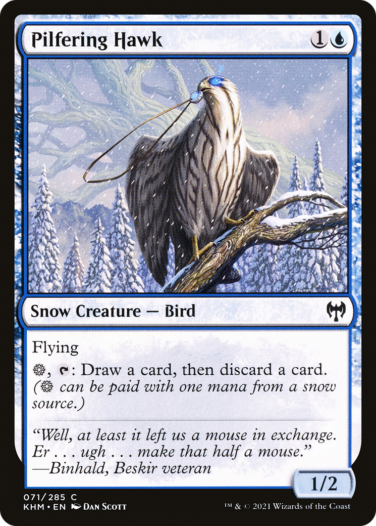 Pilfering Hawk [Kaldheim] Foil