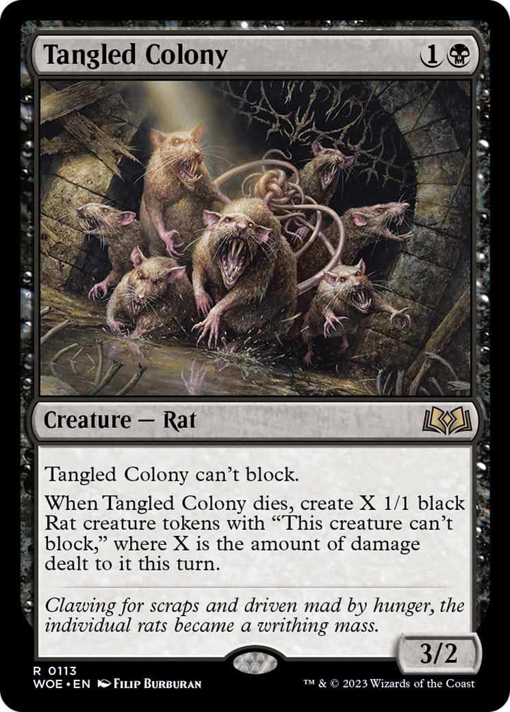 Tangled Colony [Wilds of Eldraine] Foil