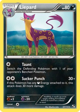 Liepard (67/114) [Black & White: Base Set] Reverse Holofoil