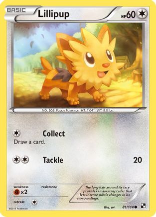 Lillipup (81/114) [Black & White: Base Set] Reverse Holofoil