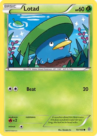 Lotad (10/160) [XY: Primal Clash] | Silver Goblin