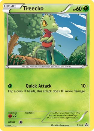 Treecko (XY36) [XY: Black Star Promos] | Silver Goblin