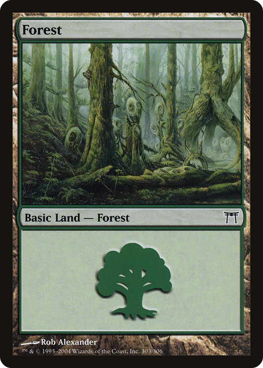 Forest (303) [Champions of Kamigawa] Foil