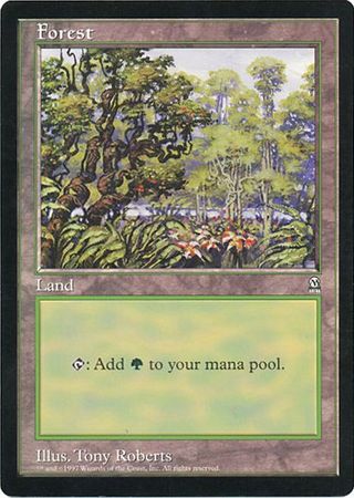 Forest (Oversized) [Oversize Cards] | Silver Goblin