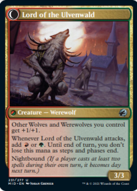 Kessig Naturalist // Lord of the Ulvenwald [Innistrad: Midnight Hunt] Foil