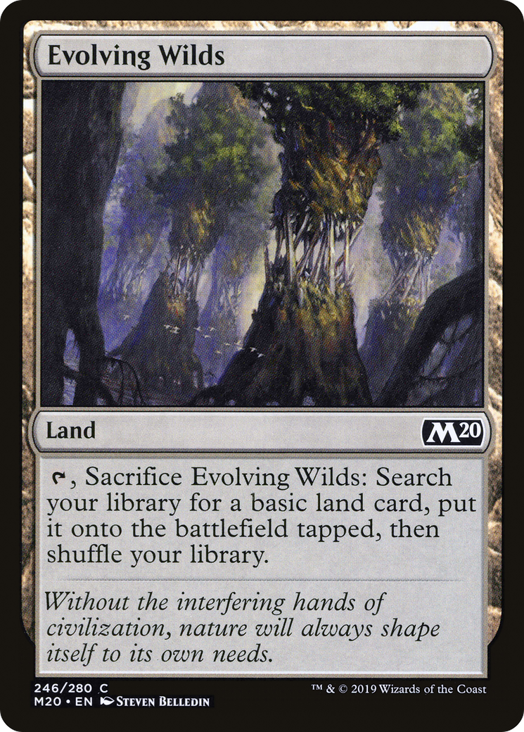 Evolving Wilds [Core Set 2020] Foil