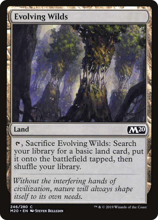 Evolving Wilds [Core Set 2020] Foil
