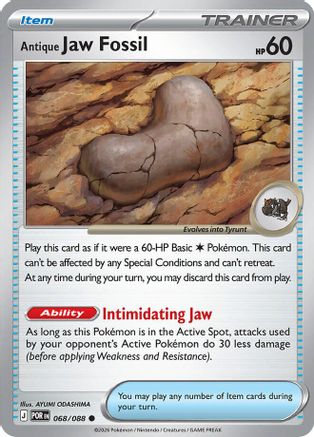 Antique Jaw Fossil (68) - Perfect Order