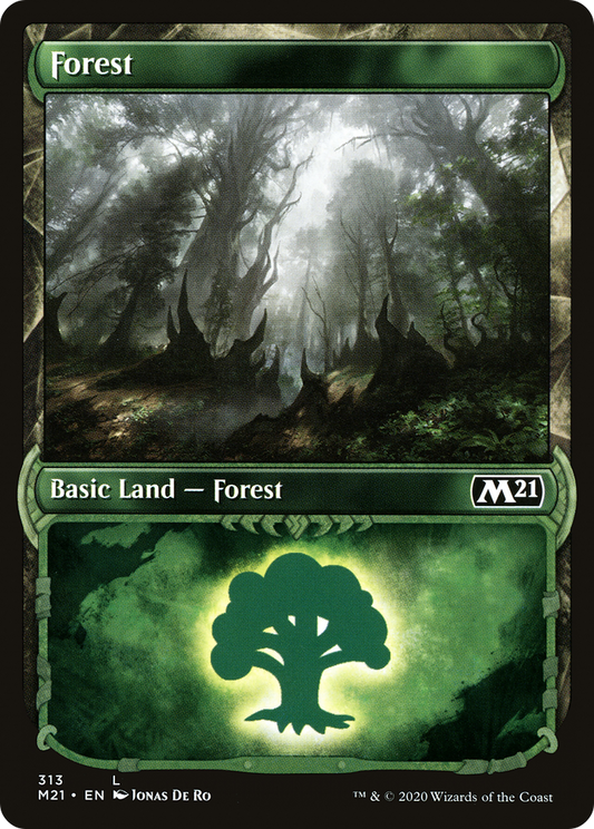 Forest (313) (Showcase) [Core Set 2021] Foil