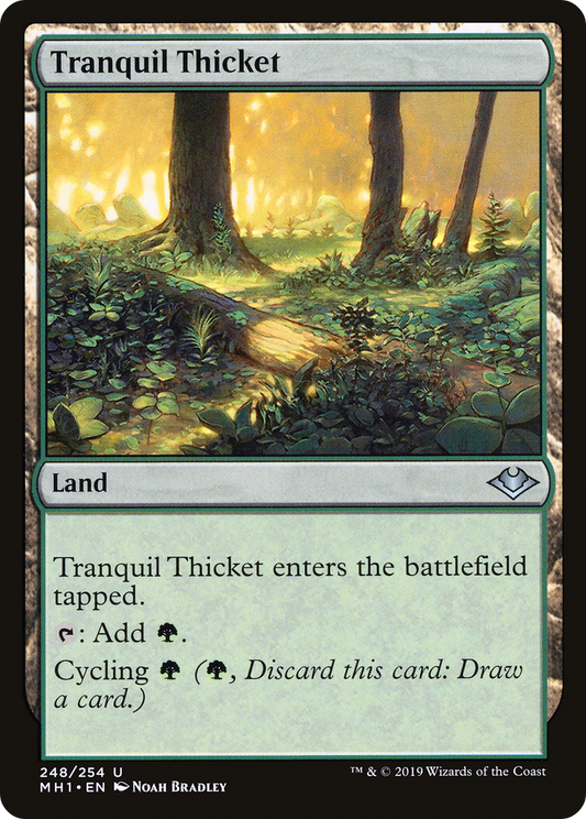 Tranquil Thicket [Modern Horizons] Foil