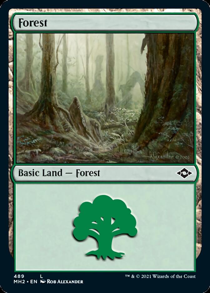 Forest (489) (Foil Etched) [Modern Horizons 2] | Silver Goblin