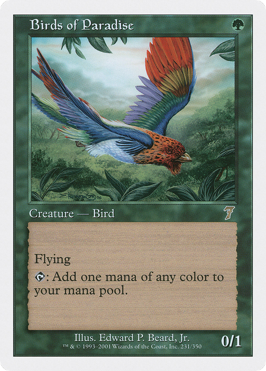 Birds of Paradise (231) - Seventh Edition