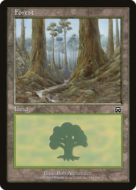 Forest (349) [Mercadian Masques] Foil