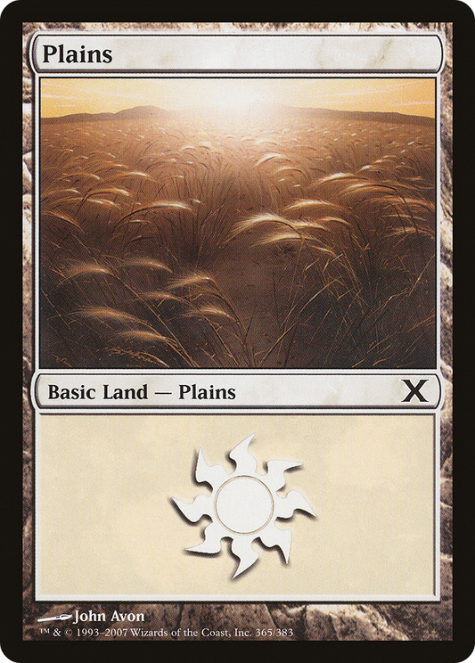 Plains (365) [Tenth Edition] Foil