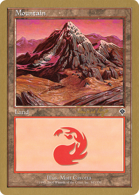Mountain (tvdl343) (Tom van de Logt) [World Championship Decks 2001]