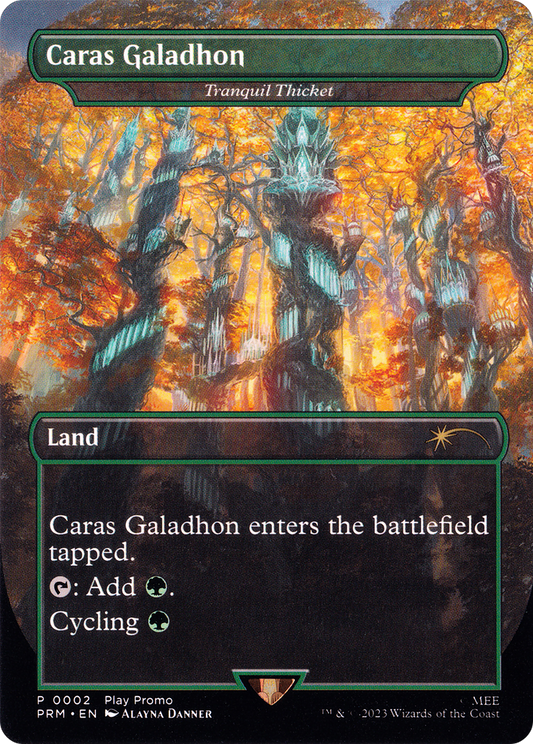 Tranquil Thicket - Caras Galadhon (Borderless) [Wizards Play Network 2023] Foil