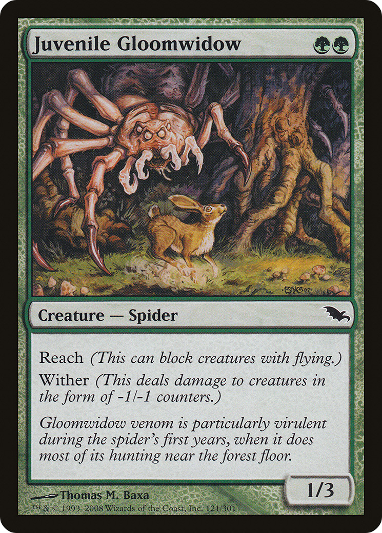 Juvenile Gloomwidow [Shadowmoor] | Silver Goblin