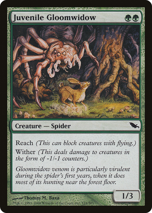 Juvenile Gloomwidow [Shadowmoor] Foil