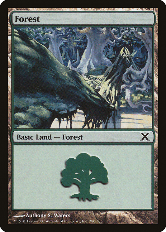 Forest (380) [Tenth Edition] Foil