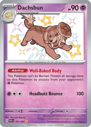 Dachsbun (161) Holofoil - Paldean Fates