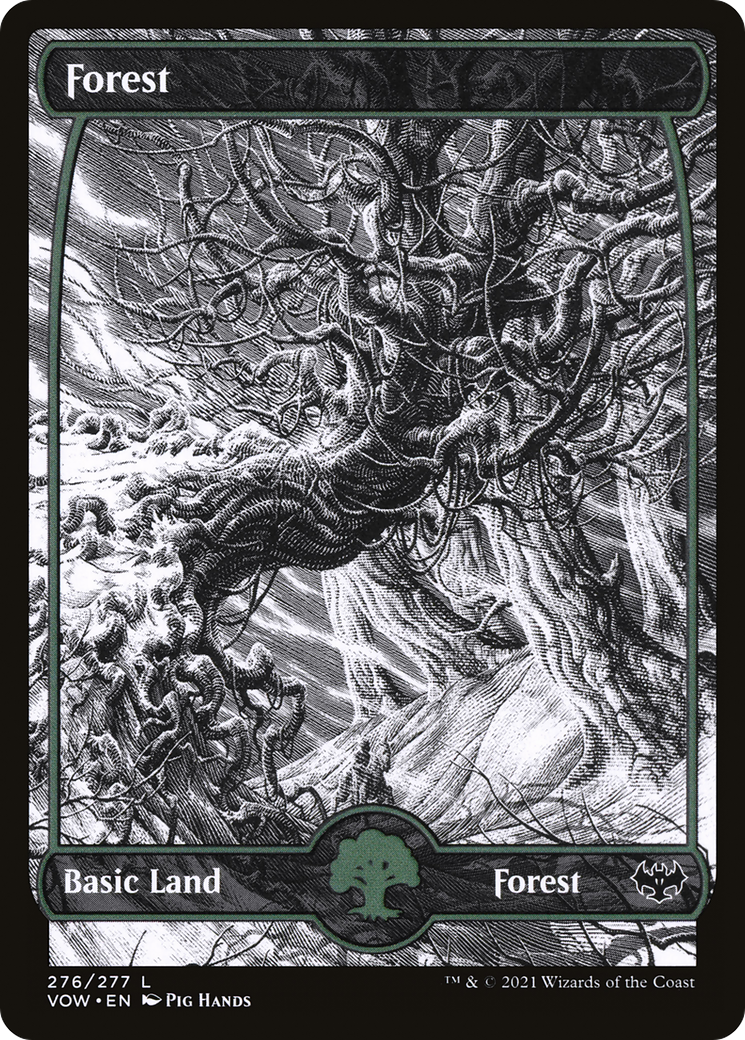 Forest (276) [Innistrad: Crimson Vow] Foil