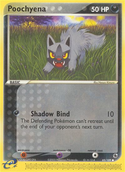 Poochyena (65/109) [EX: Ruby & Sapphire] | Silver Goblin