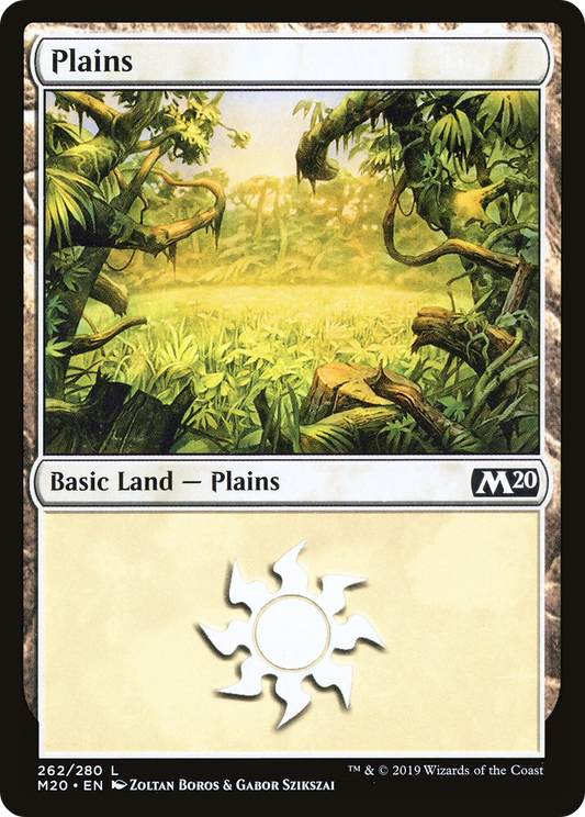 Plains (262) [Core Set 2020] Foil