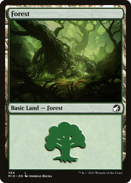 Forest (384) [Innistrad: Midnight Hunt] Foil