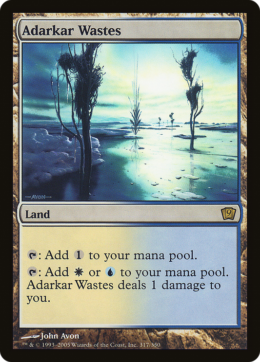 Adarkar Wastes (317) Foil - Ninth Edition