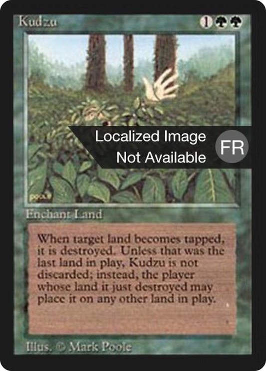 Kudzu [Foreign Black Border]